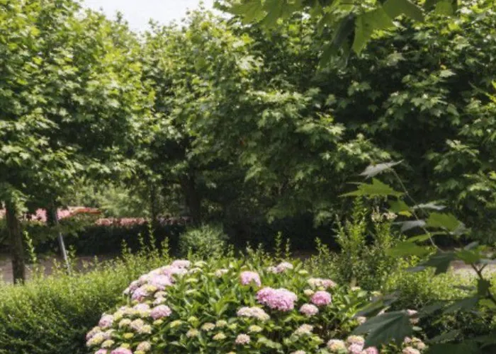 Mobil-home Confortable Pour 4 Pers Avec Terrasse A - Api-1-52-467 San Sebastian